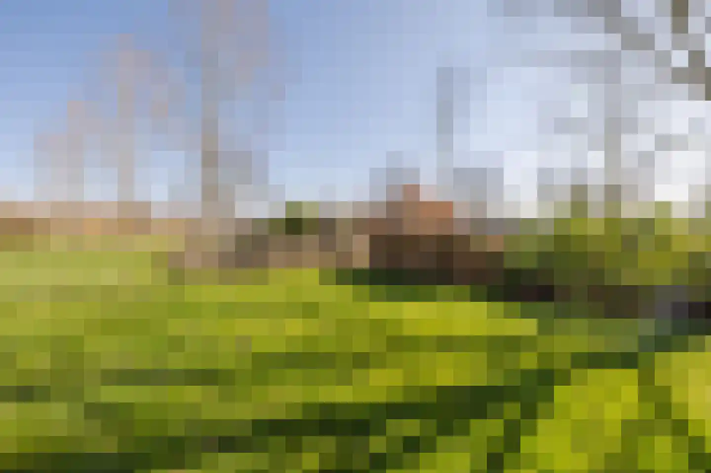 Bestseweg 11 Sint-Oedenrode thumbnail 69