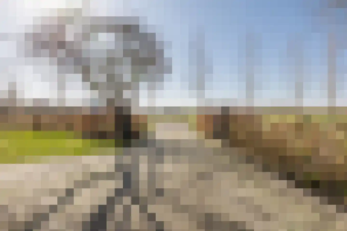 Bestseweg 11 Sint-Oedenrode thumbnail 7