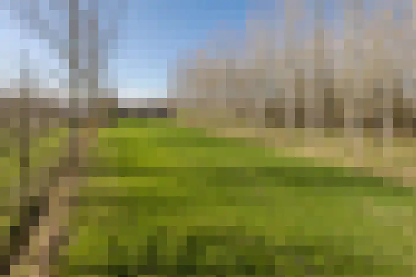 Bestseweg 11 Sint-Oedenrode thumbnail 71