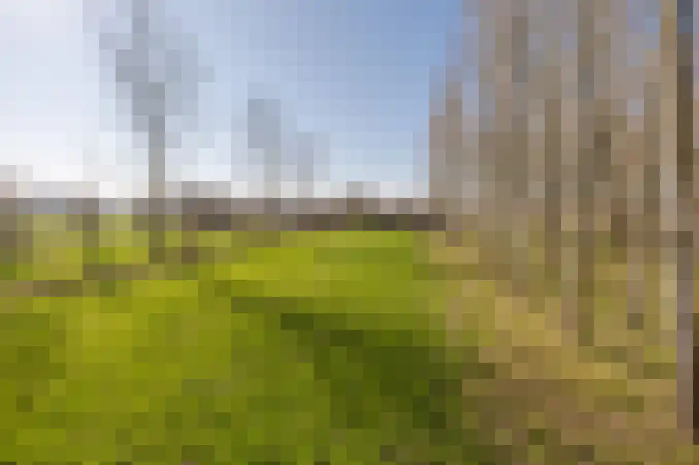 Bestseweg 11 Sint-Oedenrode thumbnail 72