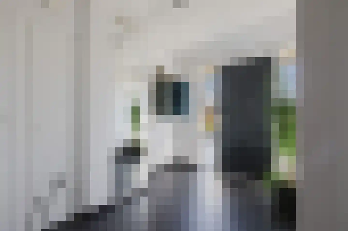Bestseweg 11 Sint-Oedenrode thumbnail 9