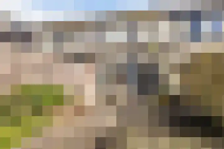 Beststraat 10 Arnhem thumbnail 17