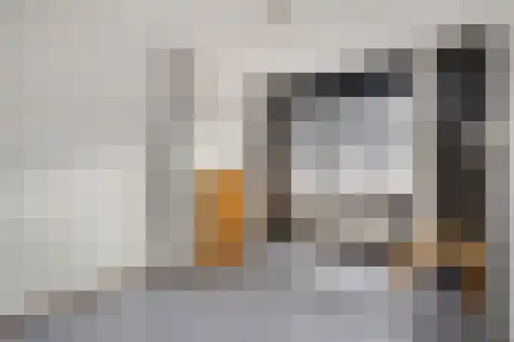 Beststraat 30 Arnhem thumbnail 22