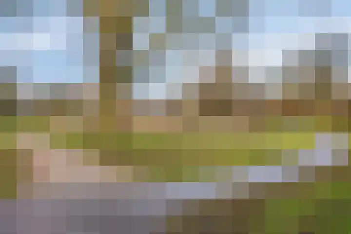 Beststraat 30 Arnhem thumbnail 33