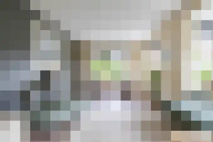 Beswerd 5 Groningen thumbnail 18