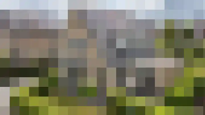 Beswerd 5 Groningen foto 2