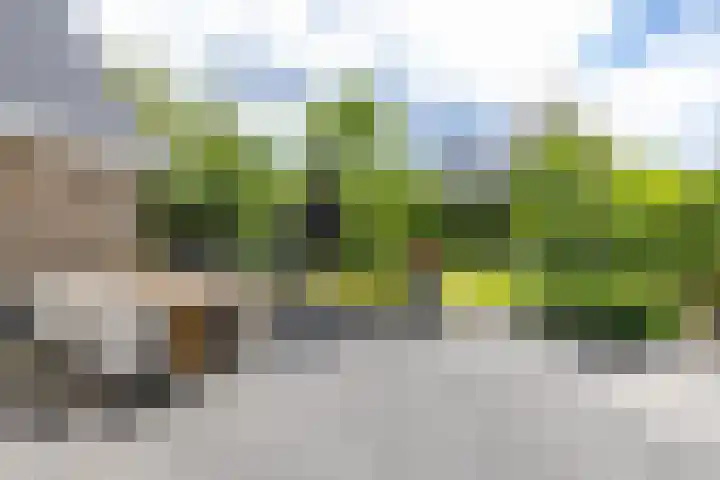 Beswerd 5 Groningen thumbnail 23