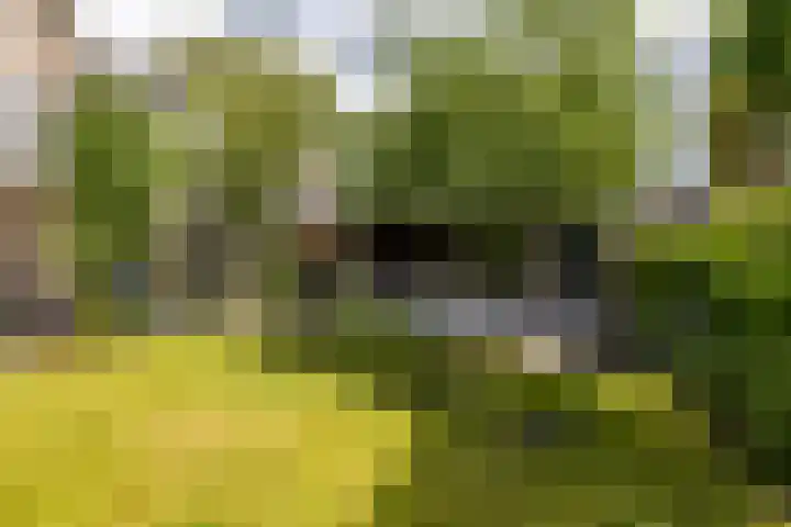 Beswerd 5 Groningen thumbnail 25