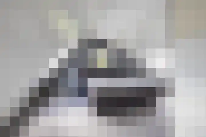 Beswerd 5 Groningen thumbnail 39