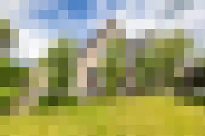 Beswerd 5 Groningen thumbnail 4