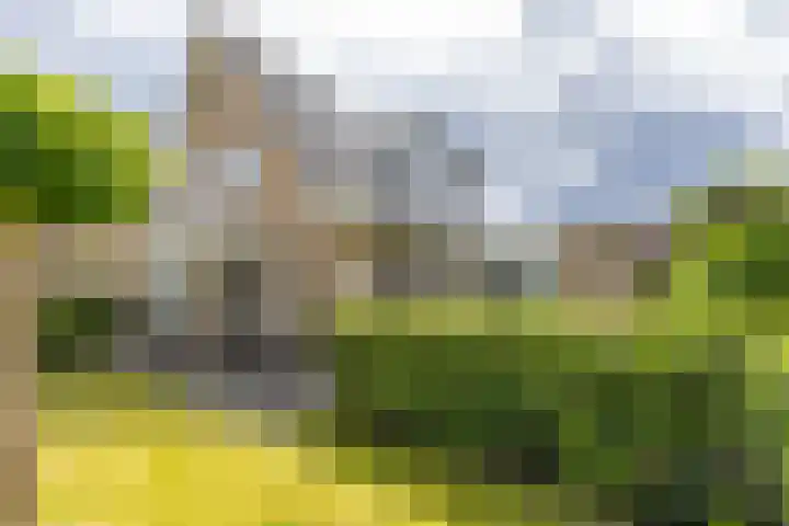 Beswerd 5 Groningen thumbnail 49