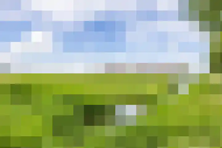 Beswerd 5 Groningen thumbnail 51