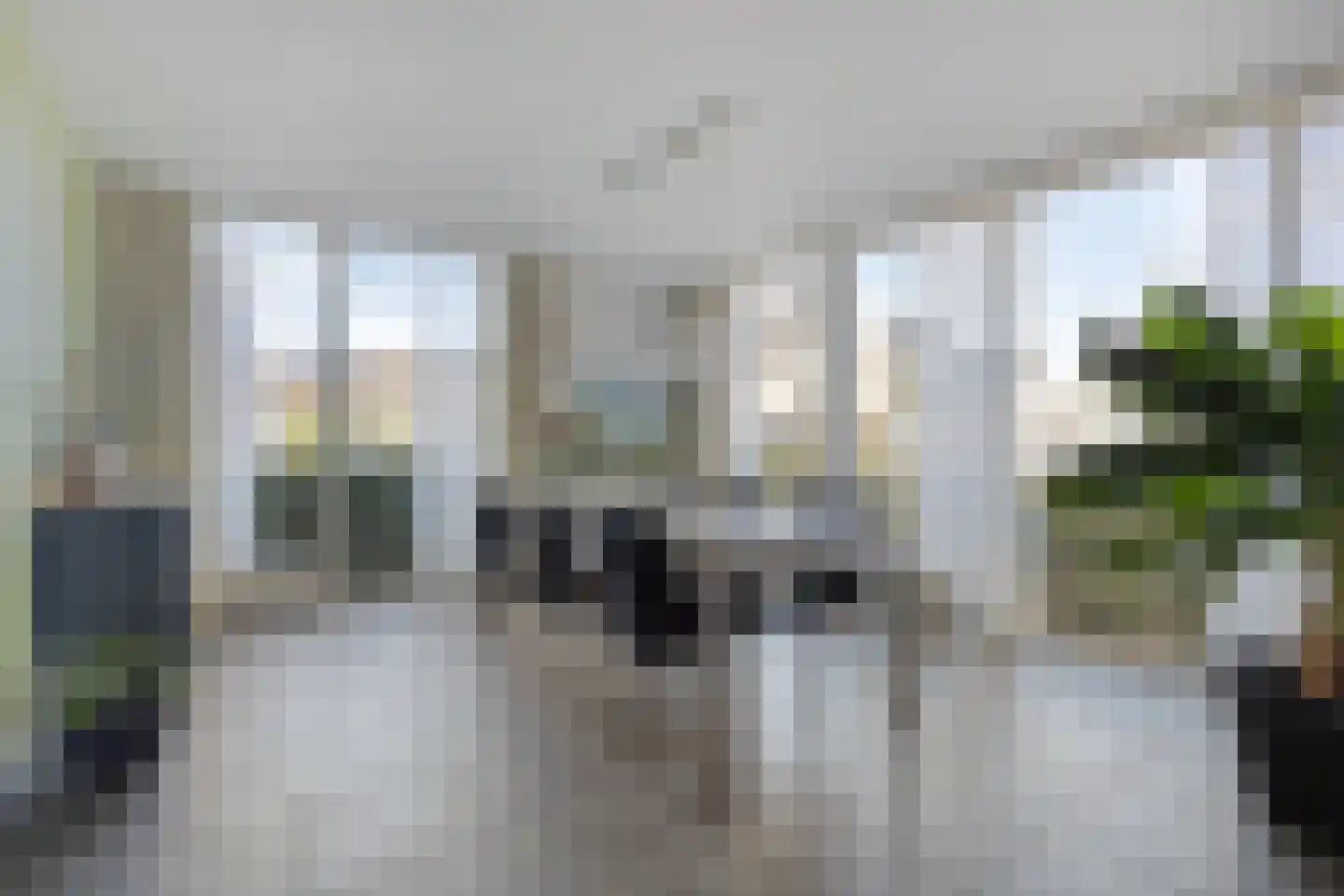 Betelgeuze 2 Schijndel thumbnail 20