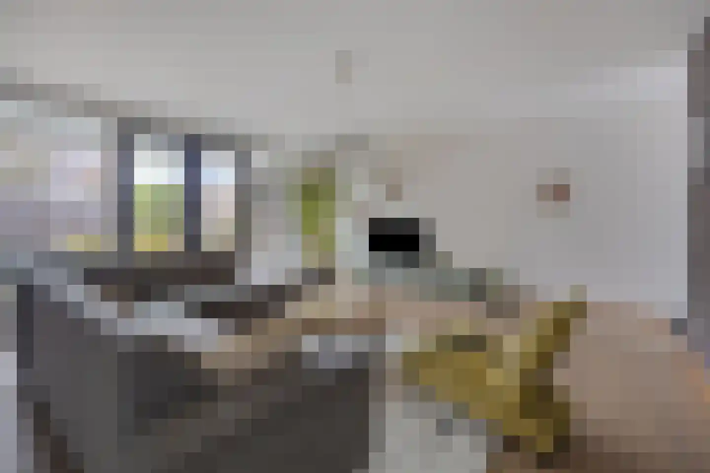 Betelgeuze 2 Schijndel thumbnail 24