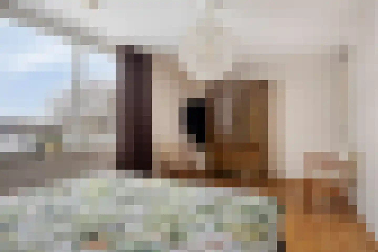 Betelgeuze 2 Schijndel thumbnail 30