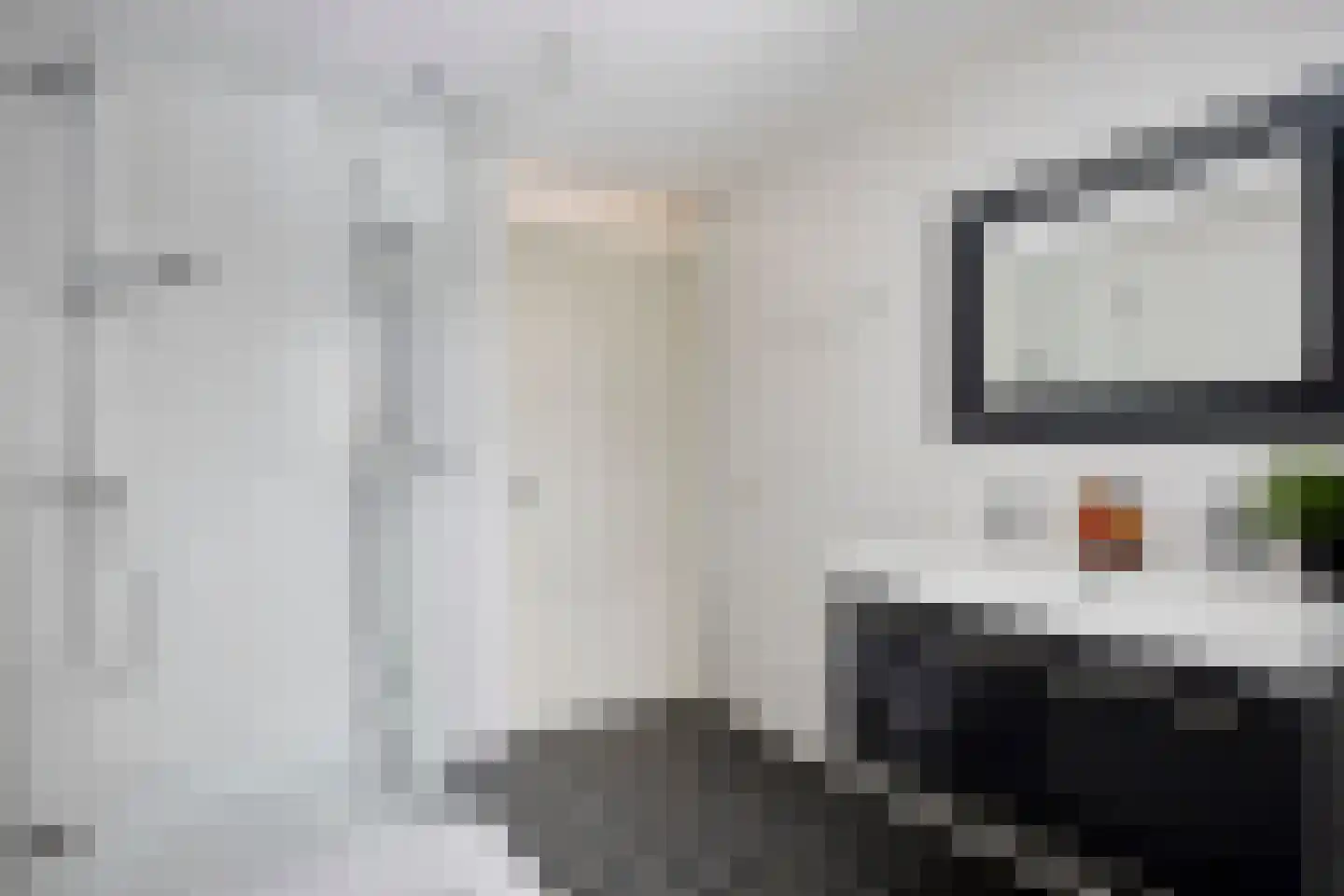 Betelgeuze 2 Schijndel thumbnail 33
