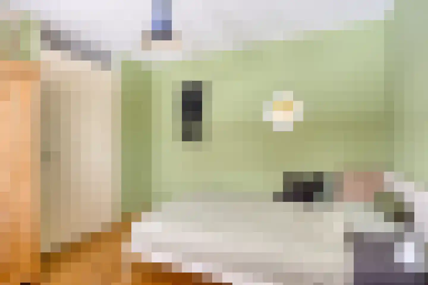 Betelgeuze 2 Schijndel thumbnail 35