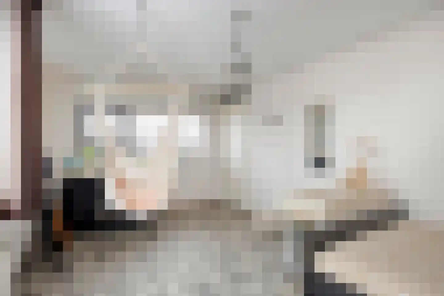 Betelgeuze 2 Schijndel thumbnail 39