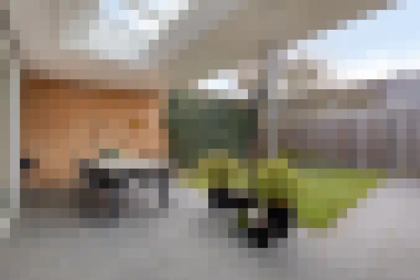 Betelgeuze 2 Schijndel thumbnail 4