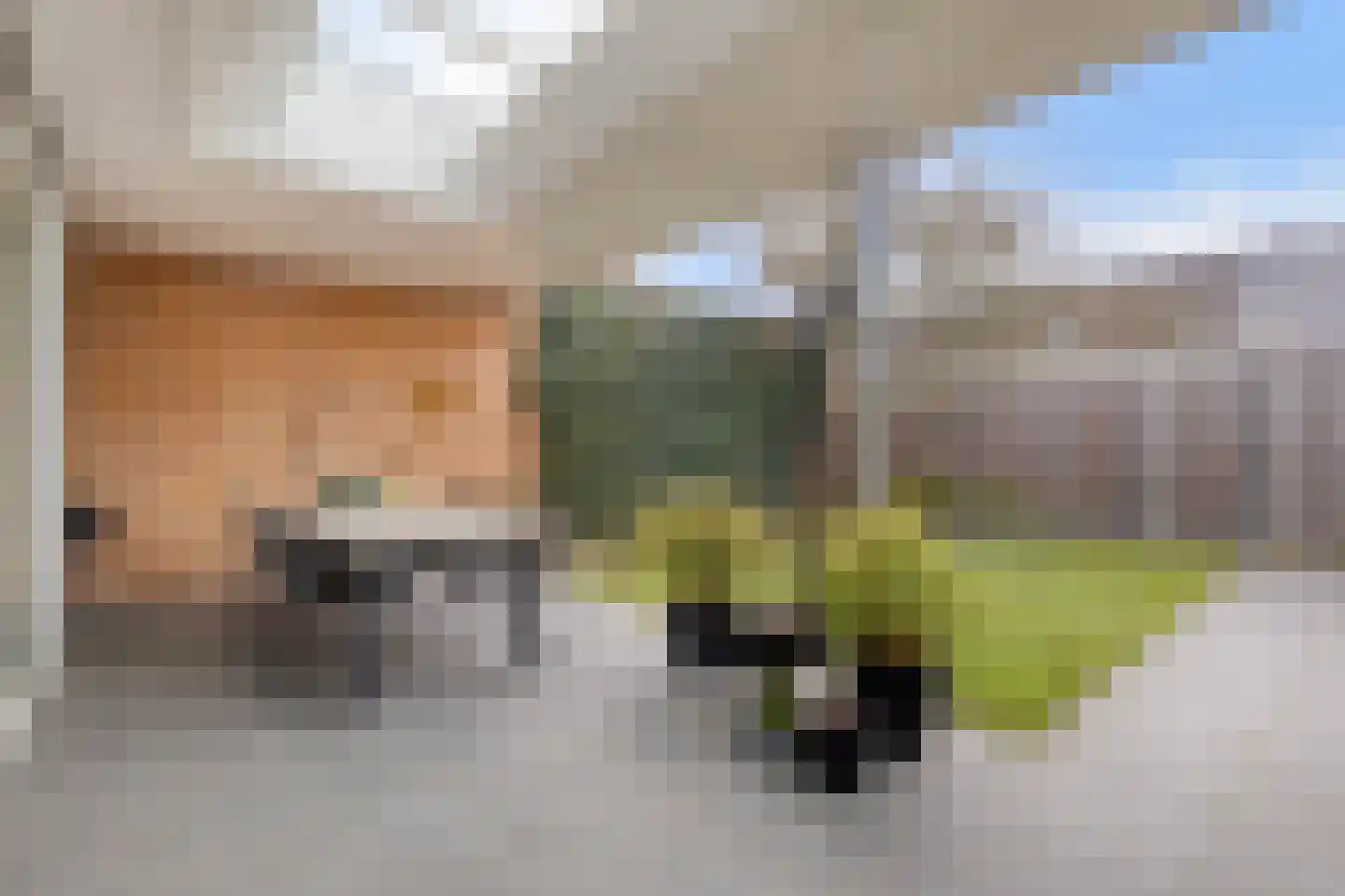 Betelgeuze 2 Schijndel thumbnail 44