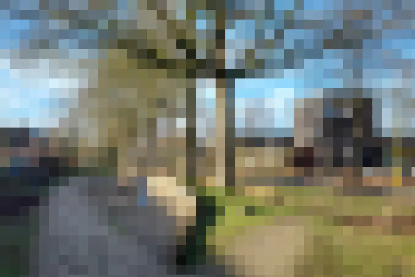 Betelgeuze 2 Schijndel thumbnail 51
