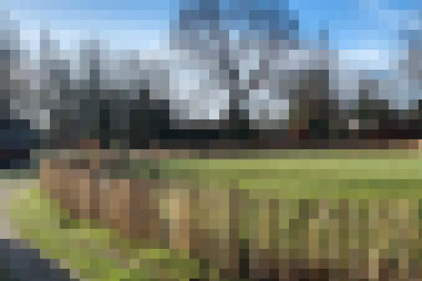 Betelgeuze 2 Schijndel thumbnail 52