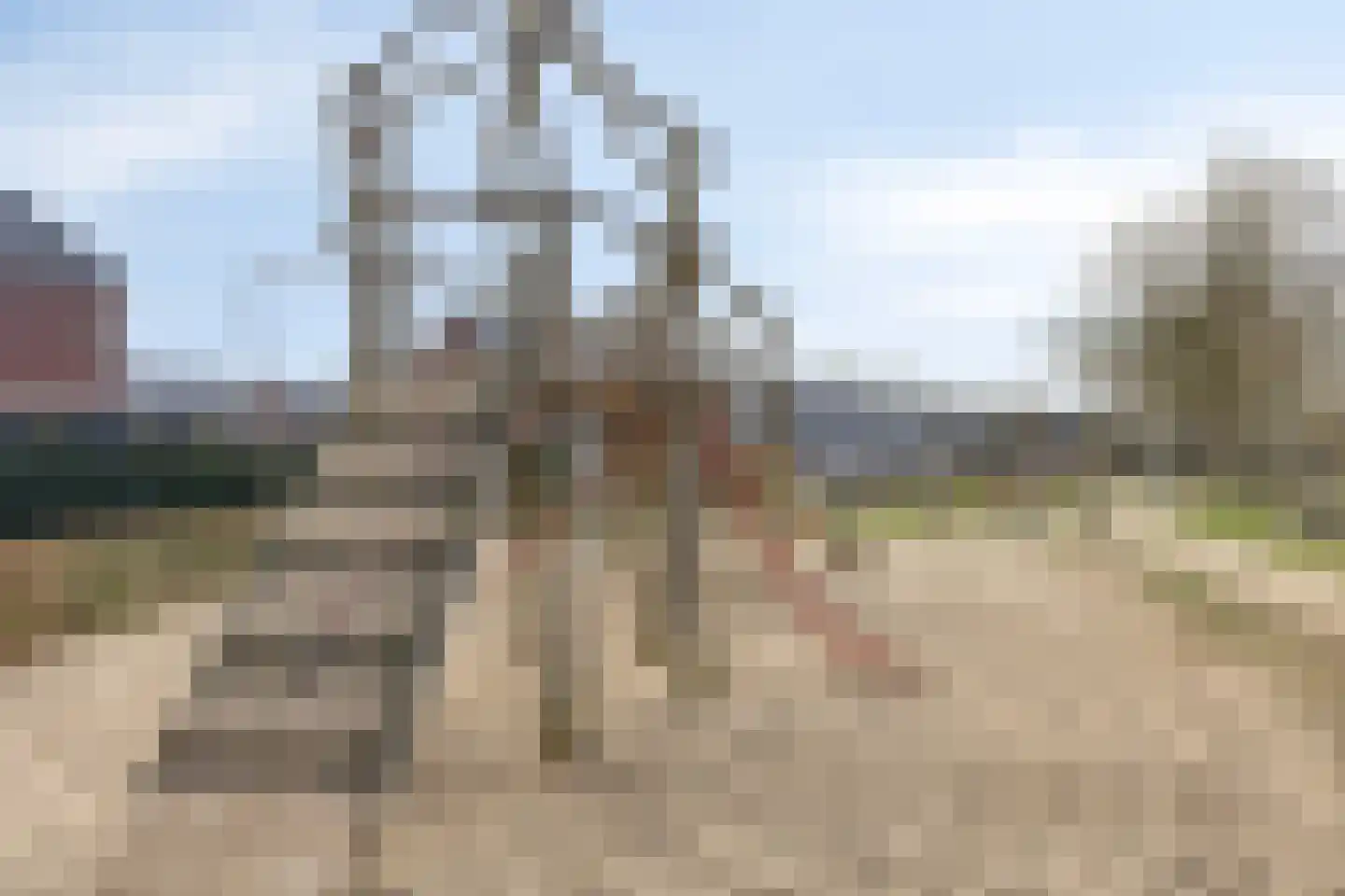 Betelgeuze 2 Schijndel thumbnail 53