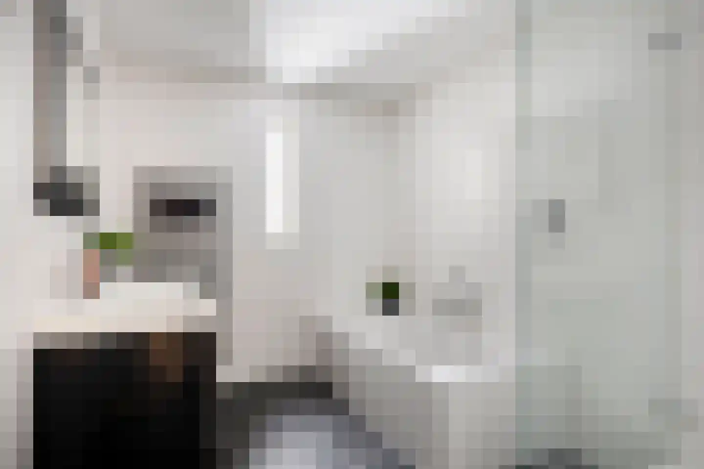 Betelgeuze 2 Schijndel thumbnail 6