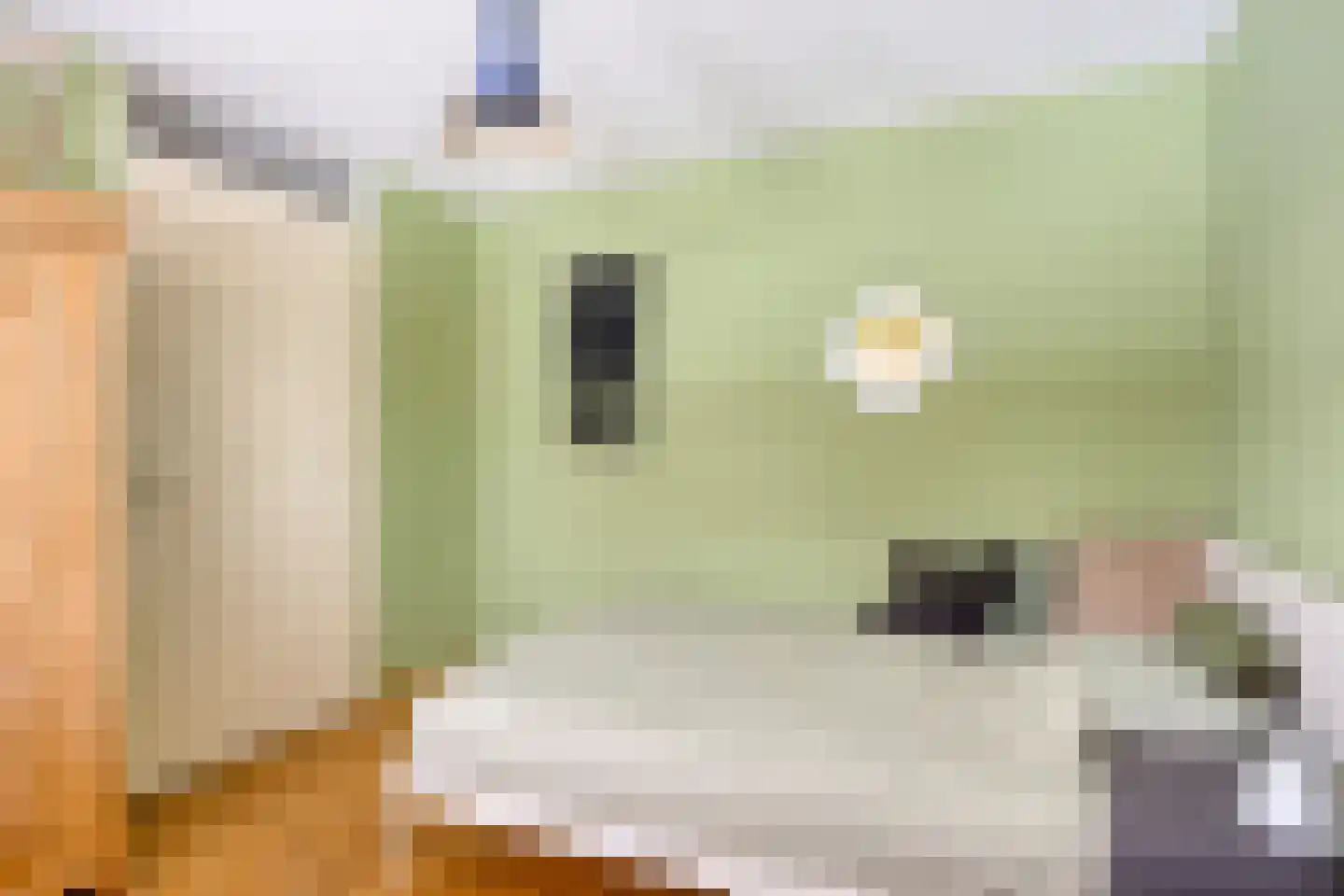 Betelgeuze 2 Schijndel thumbnail 7