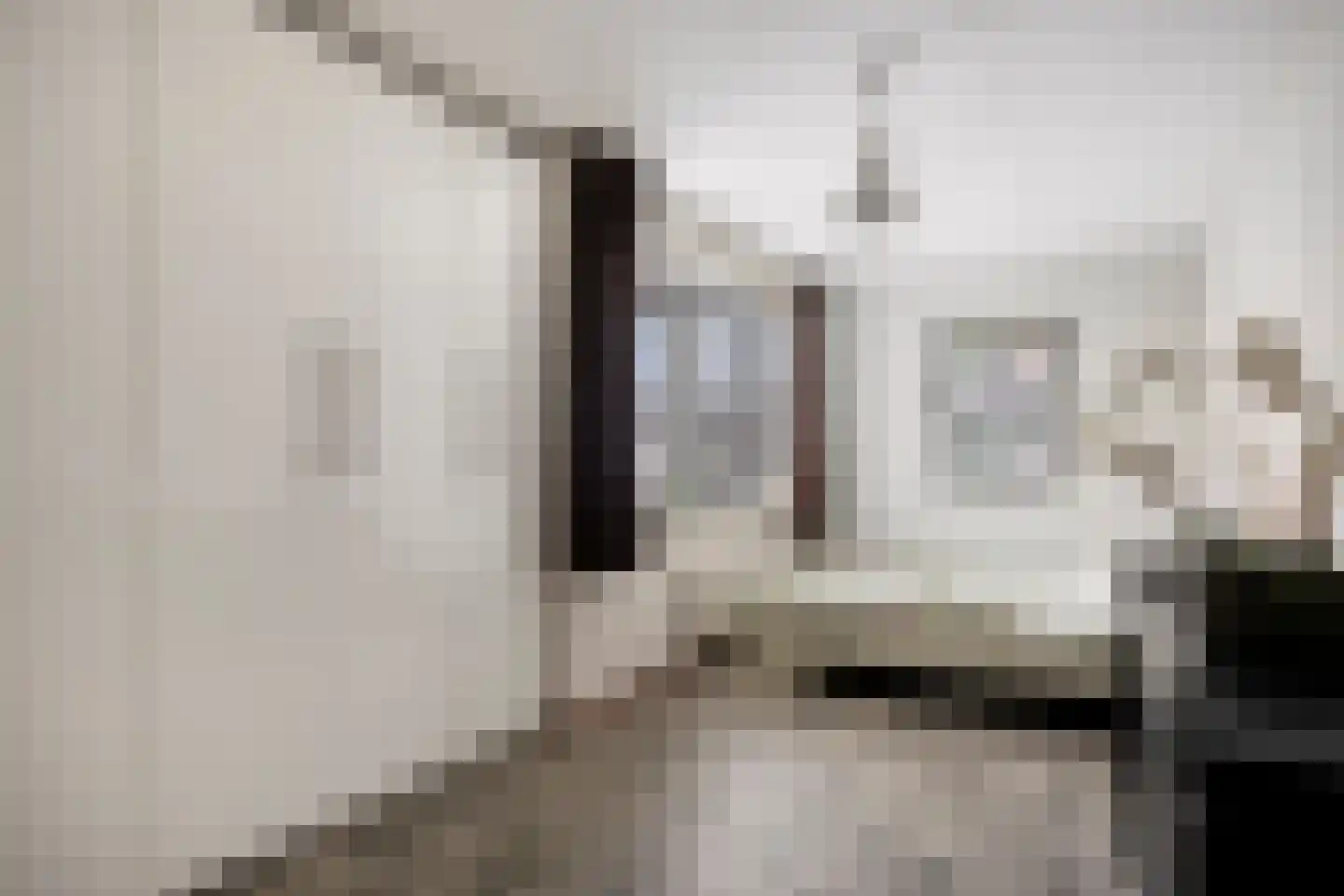Betelgeuze 2 Schijndel thumbnail 9