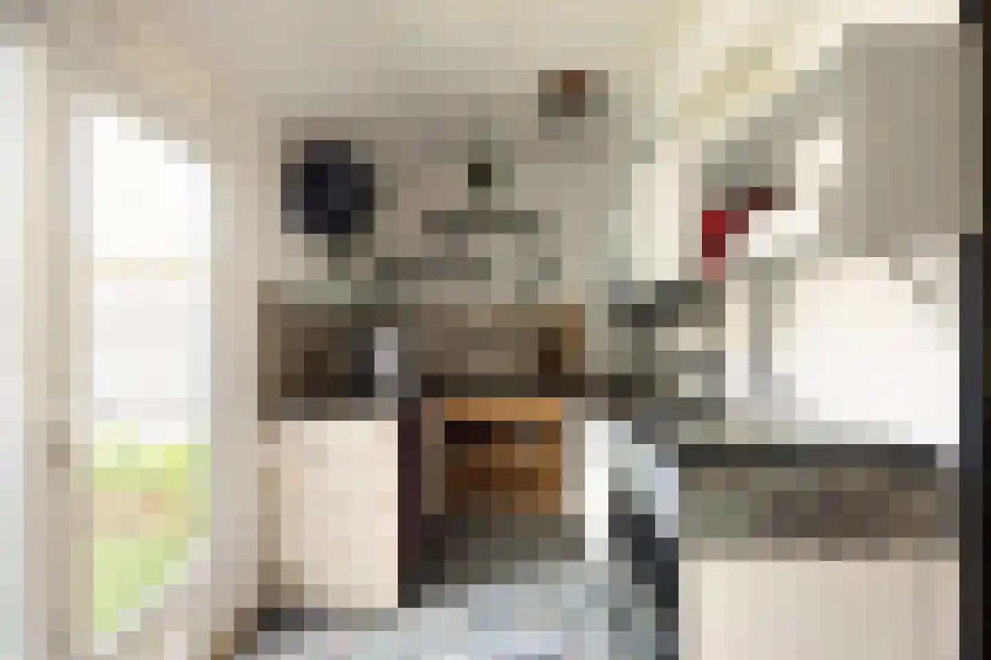 Betelgeuzestraat 14 Amsterdam thumbnail 11