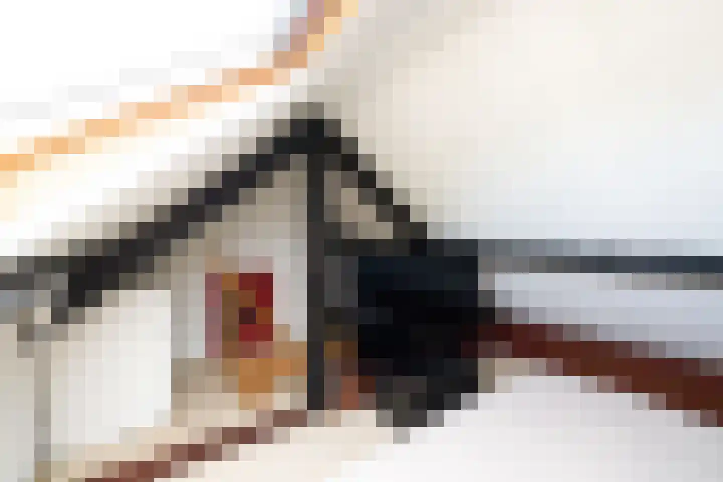 Betelgeuzestraat 14 Amsterdam thumbnail 20