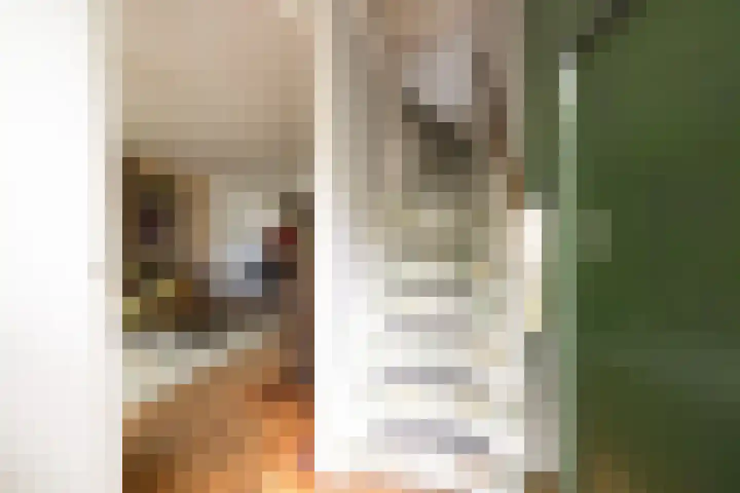 Betelgeuzestraat 14 Amsterdam thumbnail 6