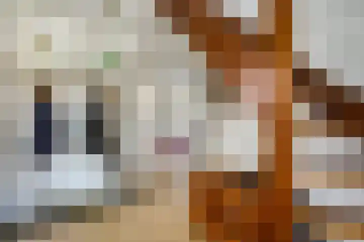 Beth van de Rijtlaan 13 Nuenen thumbnail 11