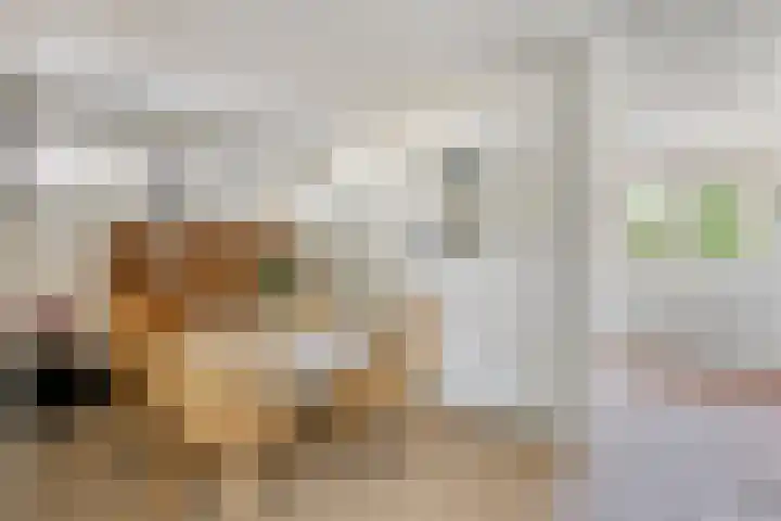 Beth van de Rijtlaan 13 Nuenen thumbnail 13