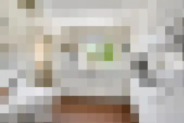 Beth van de Rijtlaan 13 Nuenen thumbnail 20