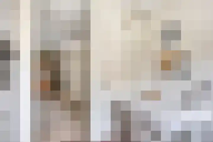 Beth van de Rijtlaan 13 Nuenen thumbnail 22