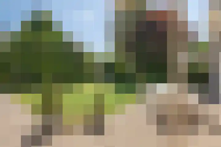 Beth van de Rijtlaan 13 Nuenen thumbnail 27