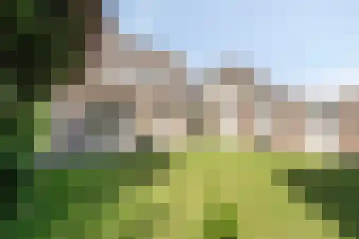 Beth van de Rijtlaan 13 Nuenen thumbnail 30