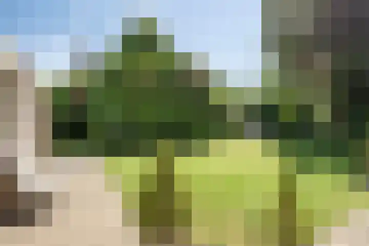 Beth van de Rijtlaan 13 Nuenen thumbnail 31