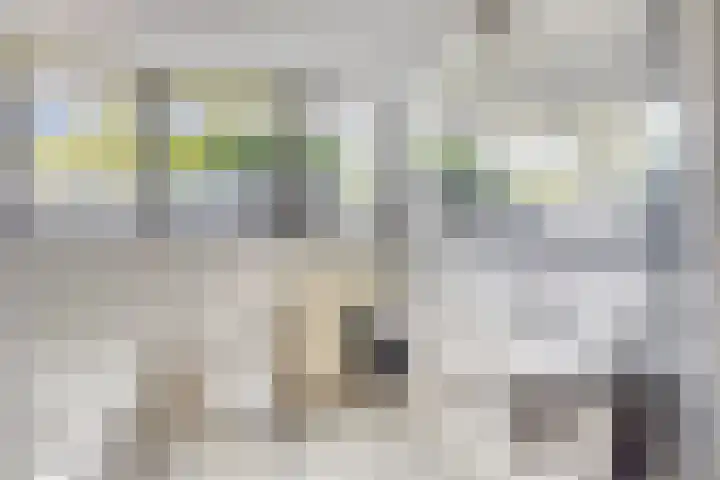 Beth van de Rijtlaan 13 Nuenen thumbnail 37