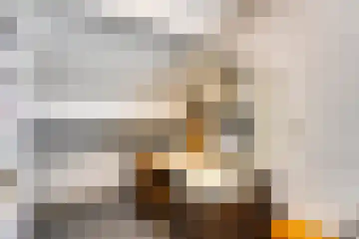 Beth van de Rijtlaan 13 Nuenen thumbnail 39