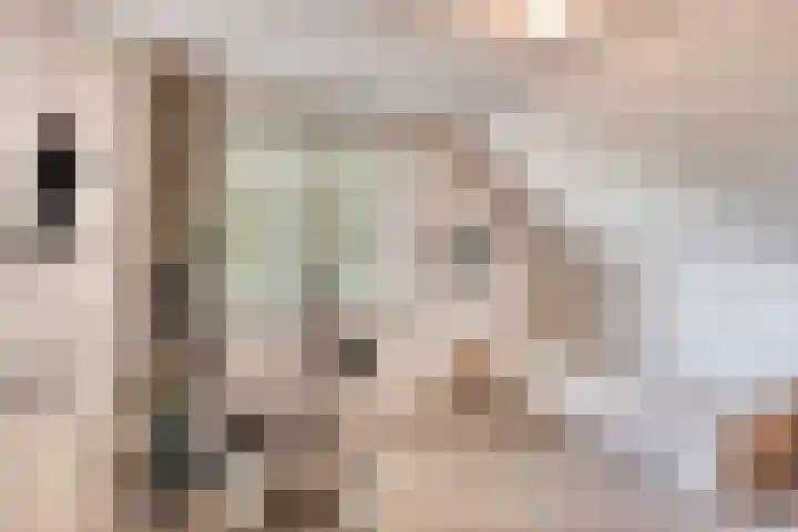 Beth van de Rijtlaan 13 Nuenen thumbnail 41