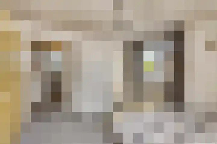 Beth van de Rijtlaan 13 Nuenen thumbnail 44