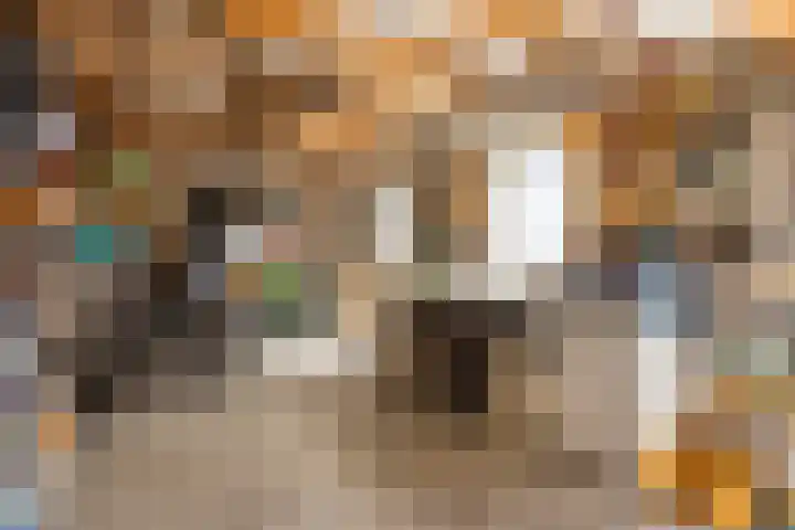 Beth van de Rijtlaan 13 Nuenen thumbnail 47