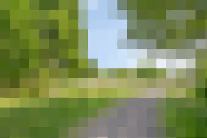 Beth van de Rijtlaan 13 Nuenen thumbnail 49