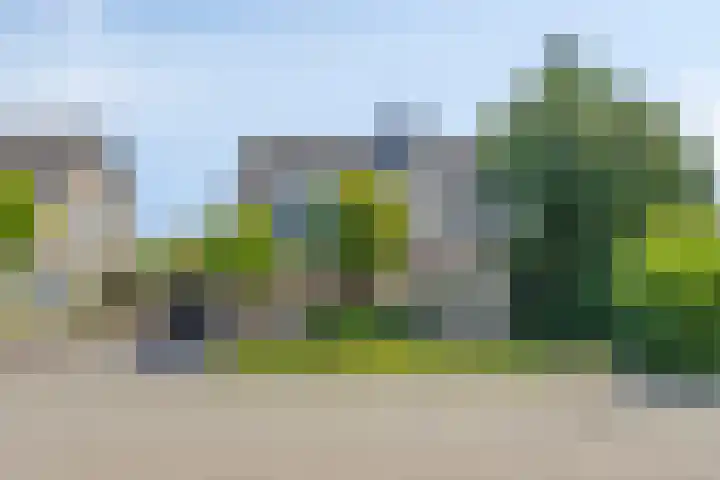 Beth van de Rijtlaan 13 Nuenen thumbnail 5