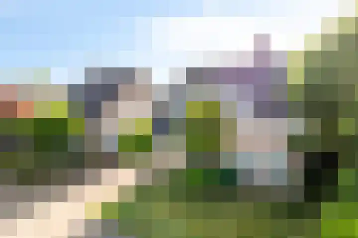 Beth van de Rijtlaan 13 Nuenen thumbnail 51