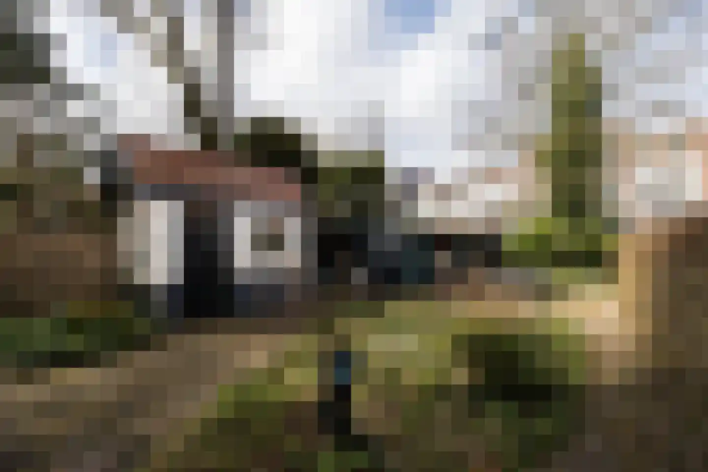 Bethaniëlaan 8 Zeist thumbnail 31