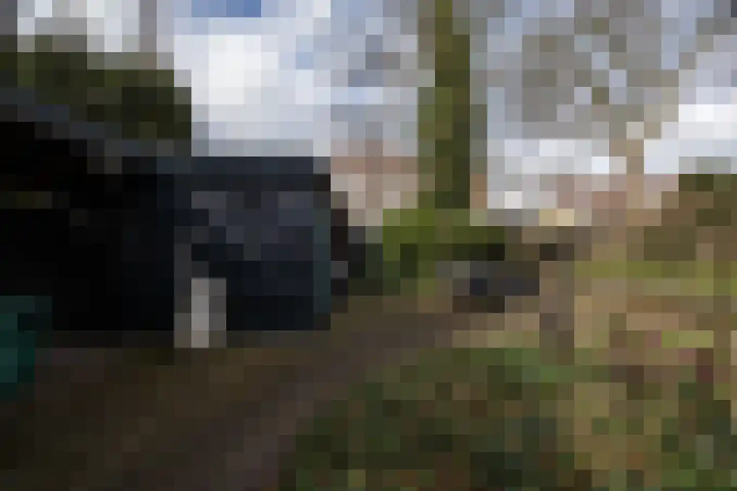 Bethaniëlaan 8 Zeist thumbnail 33